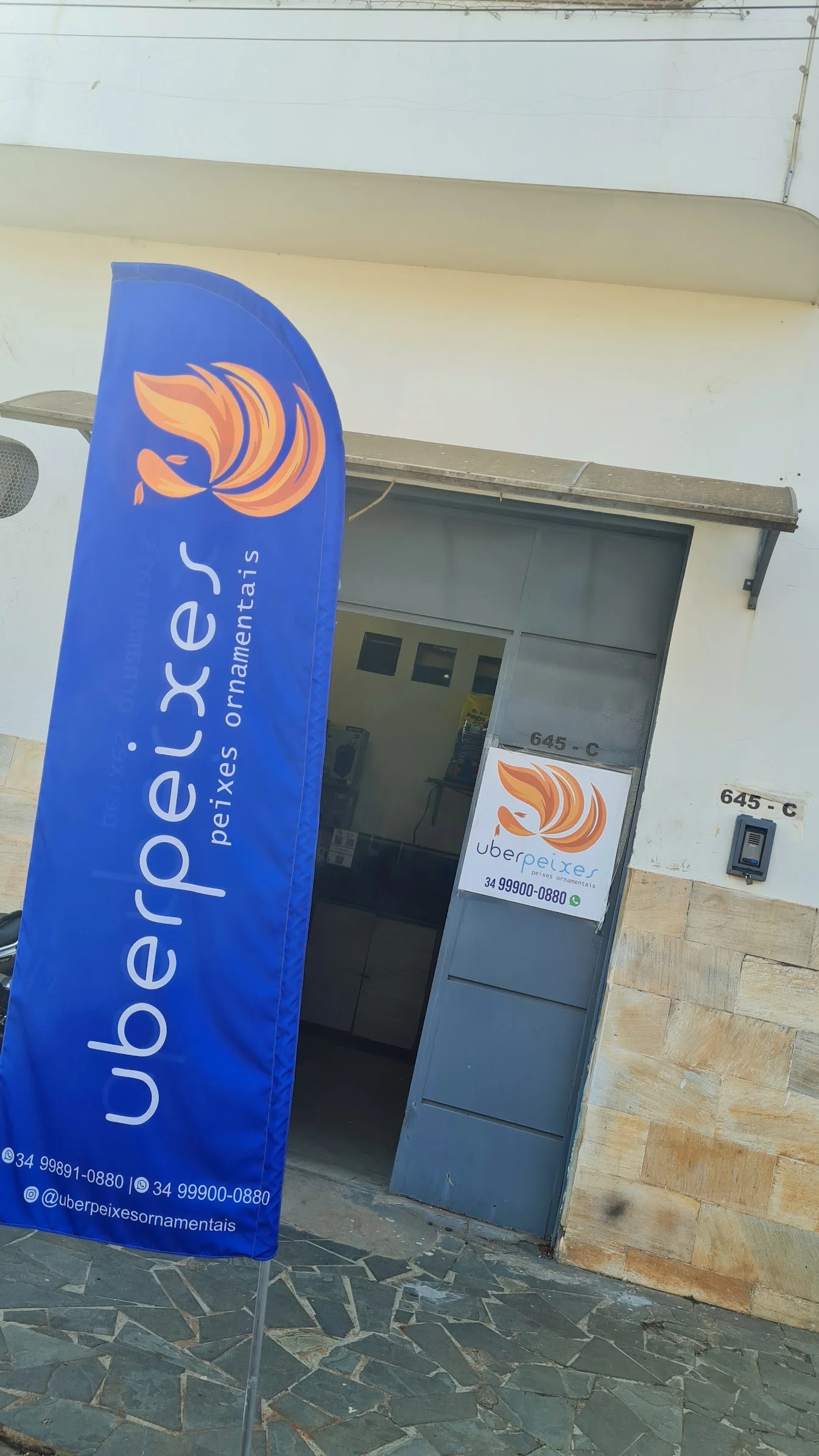Entrada da Uberpeixes Ornamentais, com bandeira azul e a logomarca do peixe laranja ao lado da porta