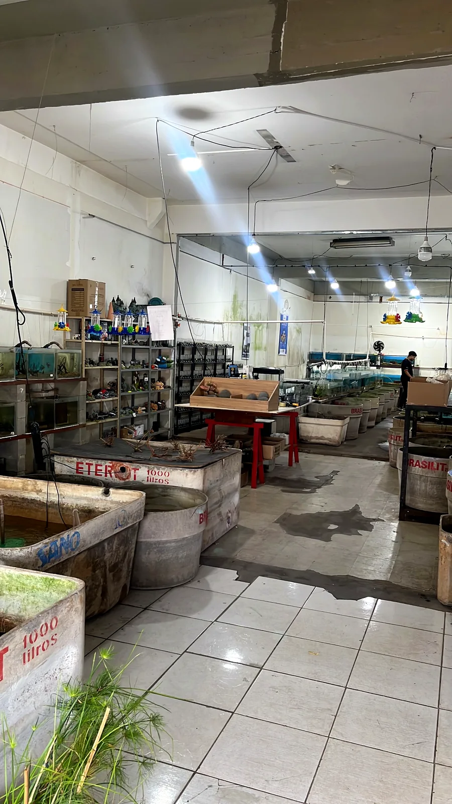 Interior da loja com tanques, aquários e equipamentos de manutenção